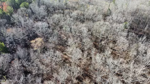 River Bend Road, Terry, MS 39170 photo 12