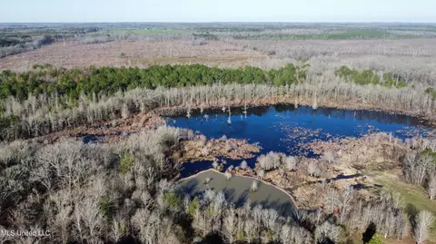 River Bend Road, Terry, MS 39170 photo 9