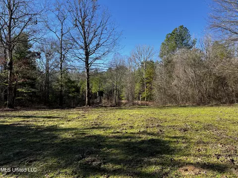 River Bend Road, Terry, MS 39170 photo 15