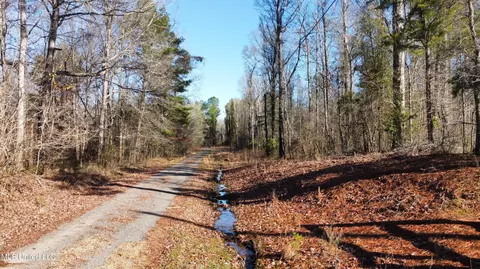 River Bend Road, Terry, MS 39170 photo 10