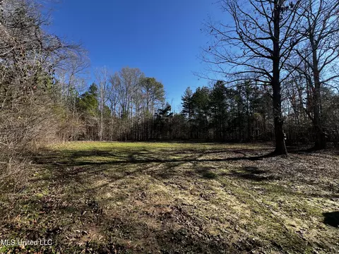 River Bend Road, Terry, MS 39170 photo 16