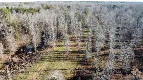 River Bend Road, Terry, MS 39170 photo 4