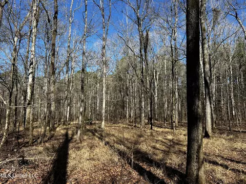 River Bend Road, Terry, MS 39170 photo 17