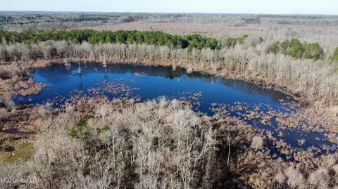 River Bend Road, Terry, MS 39170