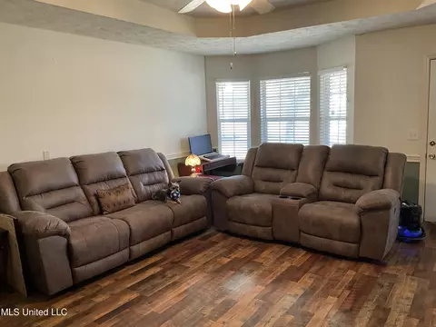 Living - 229 Sunchase Dr, Brandon, MS 39042 photo 4 of 4