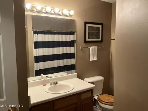 Bath - 229 Sunchase Dr, Brandon, MS 39042 photo 2 of 3