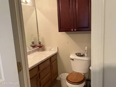 Bath - 229 Sunchase Dr, Brandon, MS 39042 photo 3 of 3