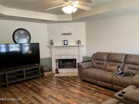Living - 229 Sunchase Dr, Brandon, MS 39042 photo 1 of 4