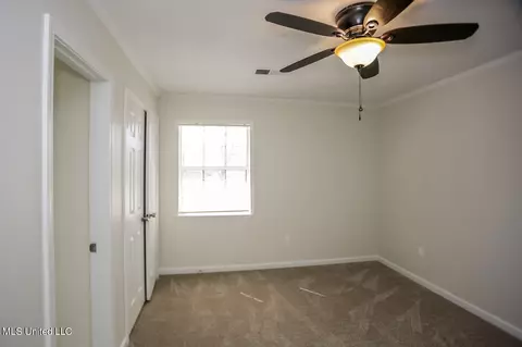 Other - 2721 Itasca Dr, Nesbit, MS 38651 photo 10 of 13