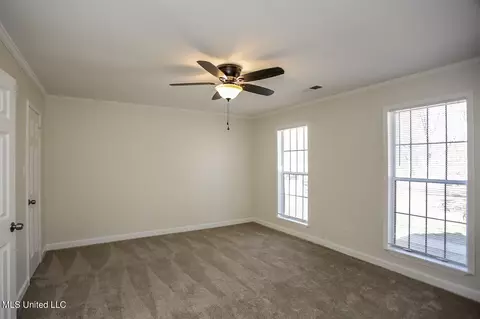 Other - 2721 Itasca Dr, Nesbit, MS 38651 photo 5 of 13
