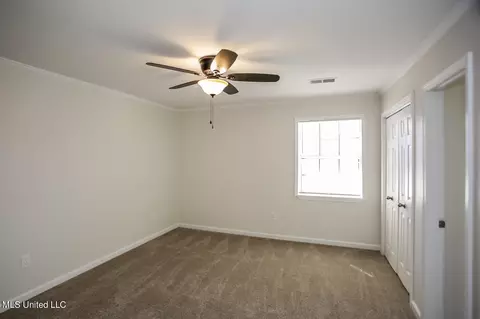 Other - 2721 Itasca Dr, Nesbit, MS 38651 photo 8 of 13