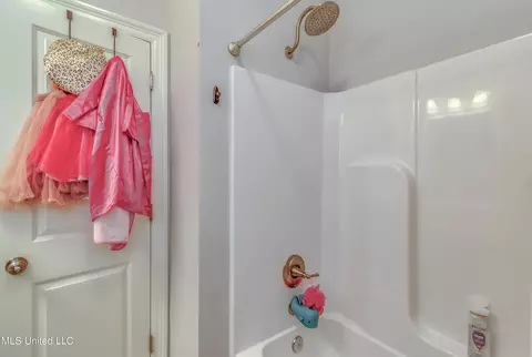 Bath - 216 Buttonwood Ln, Canton, MS 39046 photo 7 of 7
