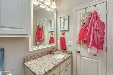 Bath - 216 Buttonwood Ln, Canton, MS 39046 photo 6 of 7
