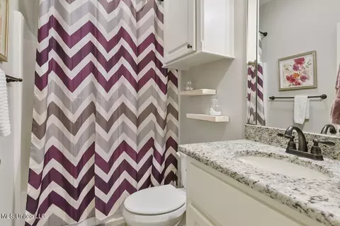 Bath - 206 Lighthouse Ln, Brandon, MS 39047 photo 4 of 4