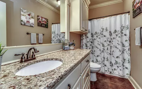 Bath - 406 Winterfield Way, Brandon, MS 39042 photo 6 of 6