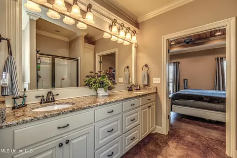 Bath - 406 Winterfield Way, Brandon, MS 39042 photo 3 of 6