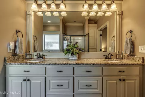 Bath - 406 Winterfield Way, Brandon, MS 39042 photo 2 of 6
