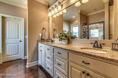 Bath - 406 Winterfield Way, Brandon, MS 39042 photo 1 of 6