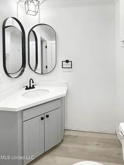 Bath - 225 Haddon Cir, Brandon, MS 39047 photo 4 of 4