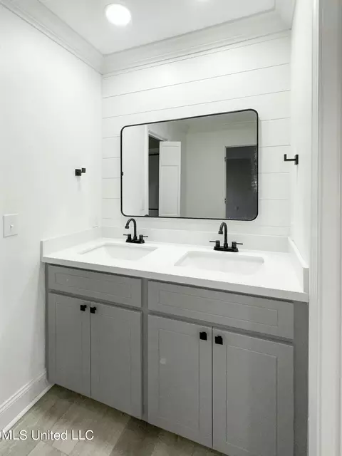 Bath - 225 Haddon Cir, Brandon, MS 39047 photo 3 of 4