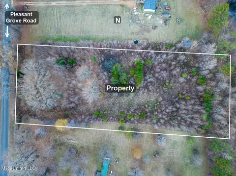 4338 Pleasant Grove Rd, Como, MS 38619 photo 3