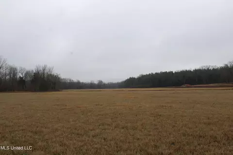 15001 Fairview Rd, Byhalia, MS 38611