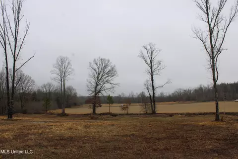 14991 Fairview Rd, Byhalia, MS 38611