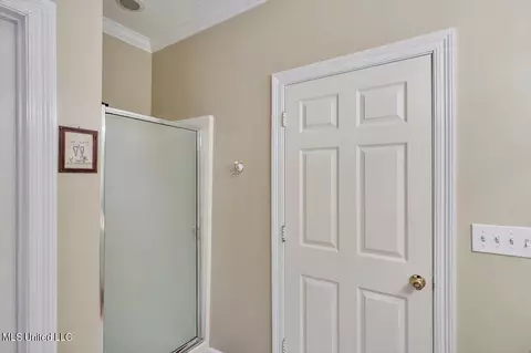 Bath - 207 Pecan Cir, Brandon, MS 39042 photo 2 of 3