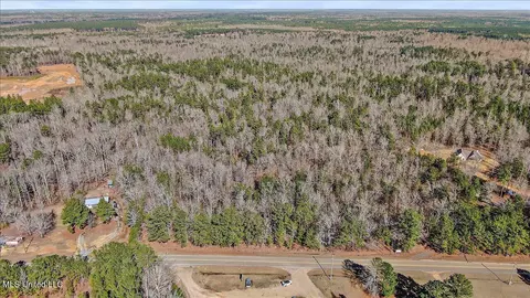 Shiloh Road, Brandon, MS 39042 photo 13