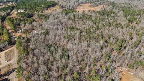 Shiloh Road, Brandon, MS 39042 photo 11