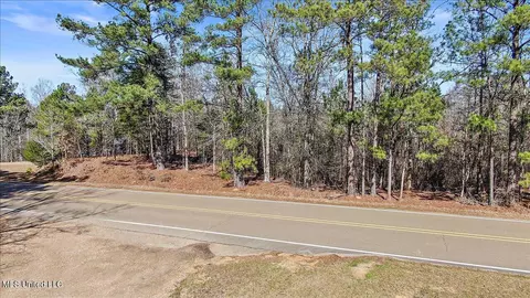 Shiloh Road, Brandon, MS 39042 photo 18