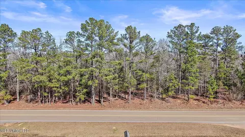 Shiloh Road, Brandon, MS 39042 photo 17