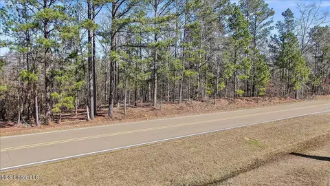 Shiloh Road, Brandon, MS 39042 photo 19