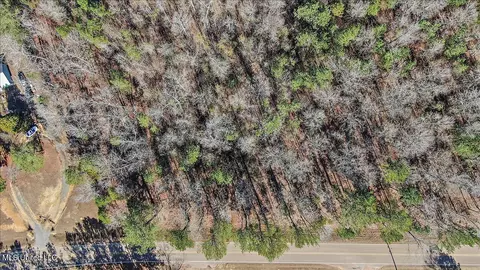 Shiloh Road, Brandon, MS 39042 photo 16