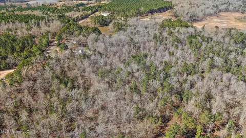 Shiloh Road, Brandon, MS 39042 photo 10