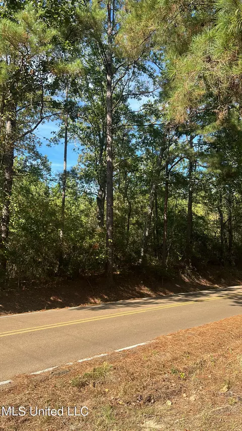 1059 Sulphur Springs Rd, Camden, MS 39045