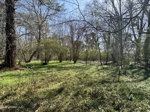 121 Cedar Ln, Jackson, MS 39212 photo 9