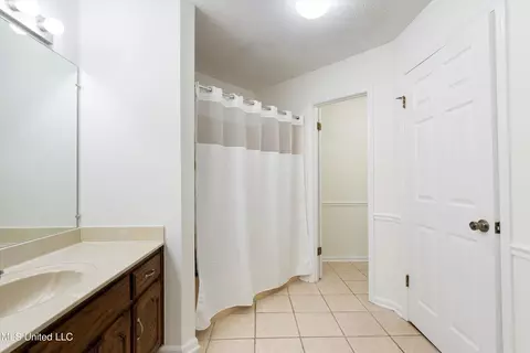 Bath - 538 Ludlow Dr, Hernando, MS 38632 photo 2 of 3