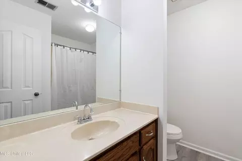 Bath - 538 Ludlow Dr, Hernando, MS 38632 photo 3 of 3