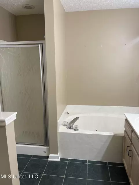 Bath - 393 Northwood Hills Dr, Hernando, MS 38632 photo 3 of 4