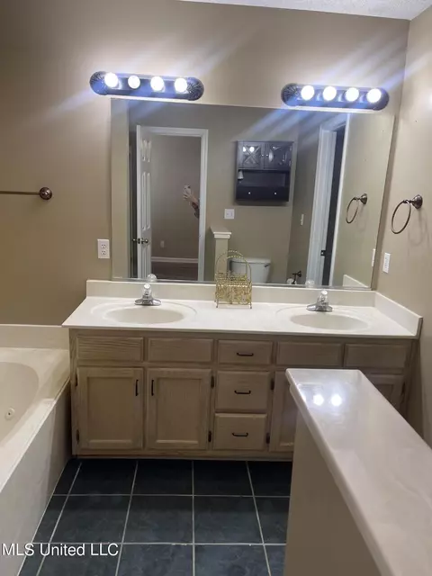 Bath - 393 Northwood Hills Dr, Hernando, MS 38632 photo 1 of 4