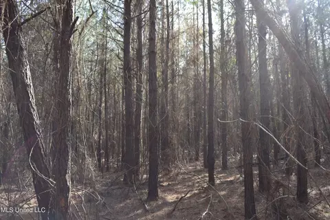 0 Johns Shiloh Rd, Brandon, MS 39042 photo 8