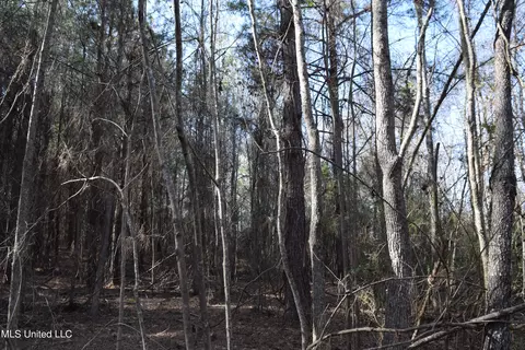 0 Johns Shiloh Rd, Brandon, MS 39042 photo 6