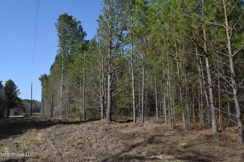 0 Johns Shiloh Rd, Brandon, MS 39042 photo 2