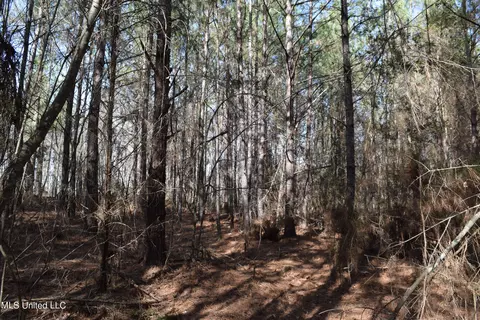 0 Johns Shiloh Rd, Brandon, MS 39042 photo 4