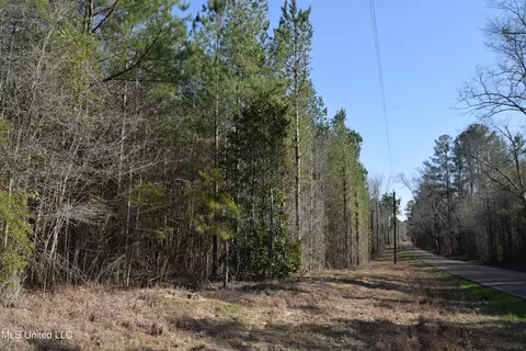 0 Johns Shiloh Rd, Brandon, MS 39042 photo 1