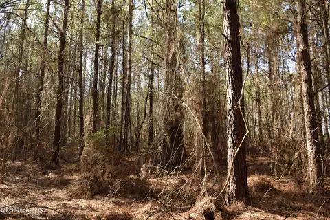 0 Johns Shiloh Rd, Brandon, MS 39042 photo 9