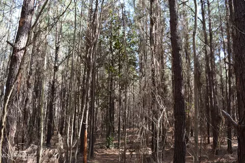 0 Johns Shiloh Rd, Brandon, MS 39042 photo 5