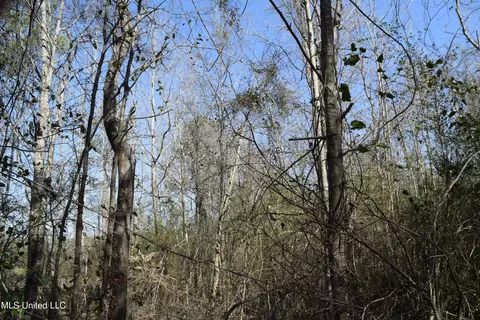 0 Johns Shiloh Rd, Brandon, MS 39042 photo 7