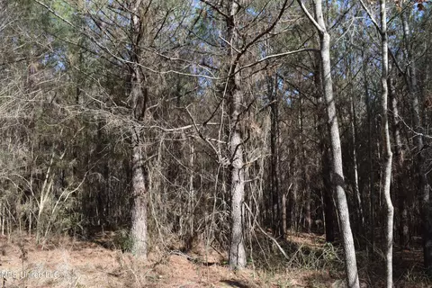 0 Johns Shiloh Rd, Brandon, MS 39042 photo 3